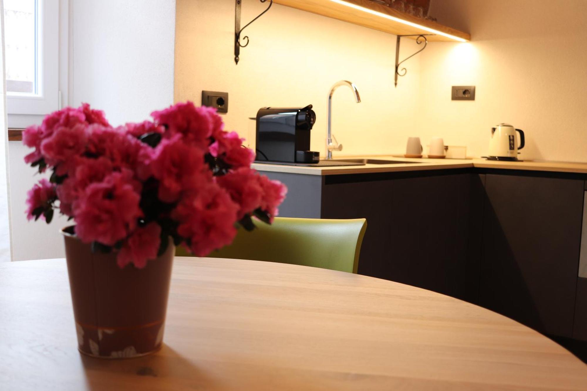 Il Ni Cuni Apartment Cuneo Bagian luar foto